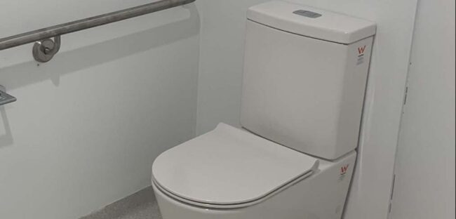 bcpg1 Replacing a toilet